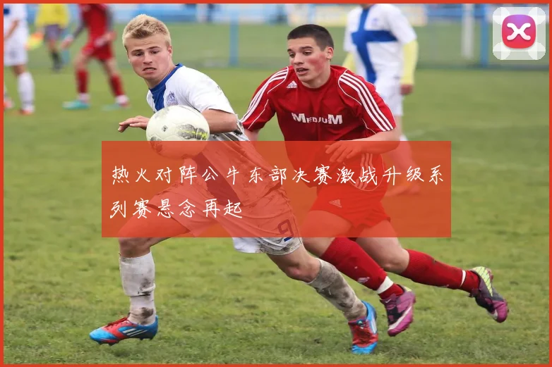 热火对阵公牛东部决赛激战升级系列赛悬念再起