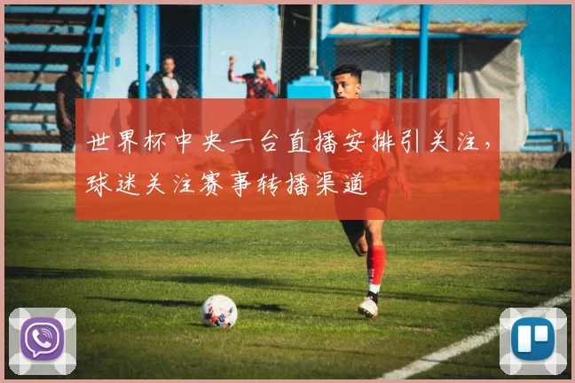 世界杯中央一台直播安排引关注，球迷关注赛事转播渠道