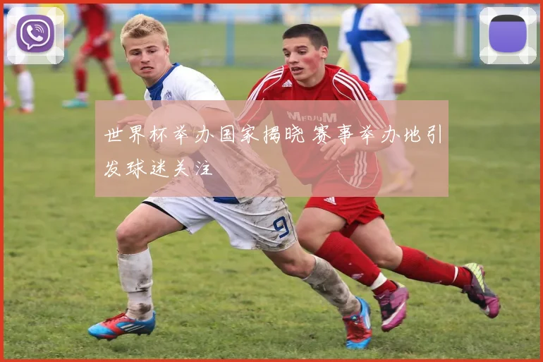 世界杯举办国家揭晓 赛事举办地引发球迷关注