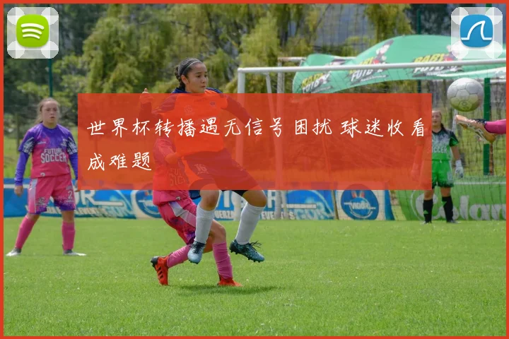 世界杯转播遇无信号困扰 球迷收看成难题